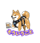 ハッピーアワー 柴犬ビール（個別スタンプ：22）