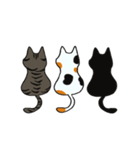 我が家のねこ3姉妹(日常スタンプ)（個別スタンプ：1）
