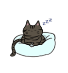 我が家のねこ3姉妹(日常スタンプ)（個別スタンプ：8）