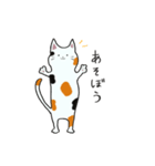 我が家のねこ3姉妹(日常スタンプ)（個別スタンプ：9）