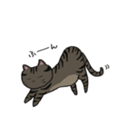 我が家のねこ3姉妹(日常スタンプ)（個別スタンプ：11）