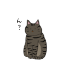 我が家のねこ3姉妹(日常スタンプ)（個別スタンプ：13）