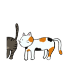 我が家のねこ3姉妹(日常スタンプ)（個別スタンプ：23）