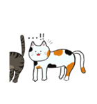我が家のねこ3姉妹(日常スタンプ)（個別スタンプ：24）