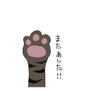 我が家のねこ3姉妹(日常スタンプ)（個別スタンプ：29）