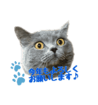 まるちゃんの日常会話③（個別スタンプ：2）