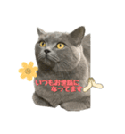 まるちゃんの日常会話③（個別スタンプ：8）