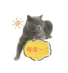 まるちゃんの日常会話③（個別スタンプ：10）