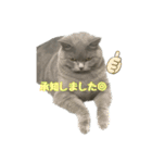 まるちゃんの日常会話③（個別スタンプ：13）