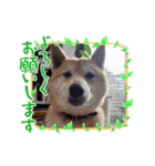 ラブリーむくたろう（個別スタンプ：3）