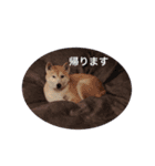 ラブリーむくたろう（個別スタンプ：4）