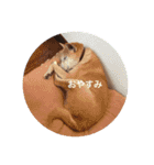 ラブリーむくたろう（個別スタンプ：5）