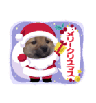 ラブリーむくたろう（個別スタンプ：10）