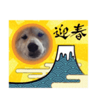 ラブリーむくたろう（個別スタンプ：12）