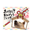 ラブリーむくたろう（個別スタンプ：13）