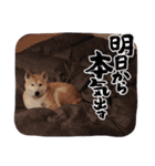 ラブリーむくたろう（個別スタンプ：15）