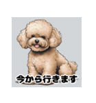 素晴らしい犬種（個別スタンプ：1）