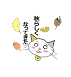 お天気伝える天気猫♪3（個別スタンプ：3）