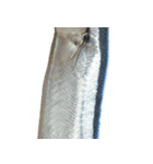 水生生物集『サンマ -秋刀魚-』（実写版）（個別スタンプ：2）
