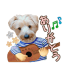 リッキー（垂れ耳でかヨーキー）（個別スタンプ：2）