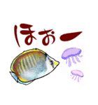 ダイビング で見る魚、ウミウシもw（個別スタンプ：14）