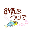 ダイビング で見る魚、ウミウシもw（個別スタンプ：31）