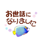 ダイビング で見る魚、ウミウシもw（個別スタンプ：36）