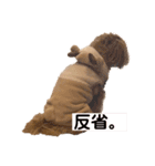 きなこなまいにち（個別スタンプ：14）