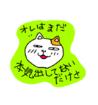 ダラねこの日常（個別スタンプ：1）