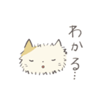 もけもけ長毛猫の日常スタンプ（個別スタンプ：20）