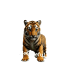 トラ tiger.（個別スタンプ：2）