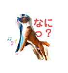 ピットボクサー レオン（個別スタンプ：9）