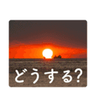 毎日夕景、写真の気持ち3（個別スタンプ：31）