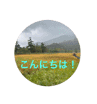 kinko 秋バージョン2（個別スタンプ：6）