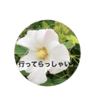 kinko 秋バージョン2（個別スタンプ：14）