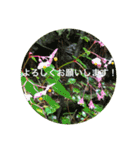 kinko 秋バージョン2（個別スタンプ：21）
