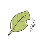 まがおちゃんの日常（個別スタンプ：18）