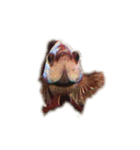 The very funny fish Chacha（個別スタンプ：7）