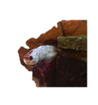 The very funny fish Chacha（個別スタンプ：15）