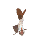 The very funny fish Chacha（個別スタンプ：17）