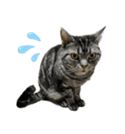猫カフェにゃーにゃーにゃー（個別スタンプ：38）