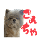 ぽこくんの日常（個別スタンプ：6）