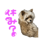 ぽこくんの日常（個別スタンプ：8）