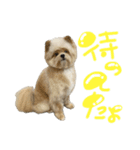 ぽこくんの日常（個別スタンプ：16）