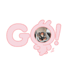 姉妹·͜·ᰔᩚ（個別スタンプ：10）
