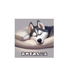 HuskyLove.Vol.2（個別スタンプ：1）