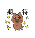 柴犬のおいもちゃん（個別スタンプ：1）