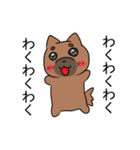 柴犬のおいもちゃん（個別スタンプ：4）