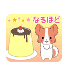 ちびパピヨンズ（個別スタンプ：17）