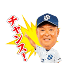 日本新薬硬式野球部 選手スタンプ2023（個別スタンプ：24）